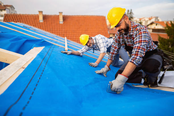 Best Roof Waterproofing  in Dalton, GA